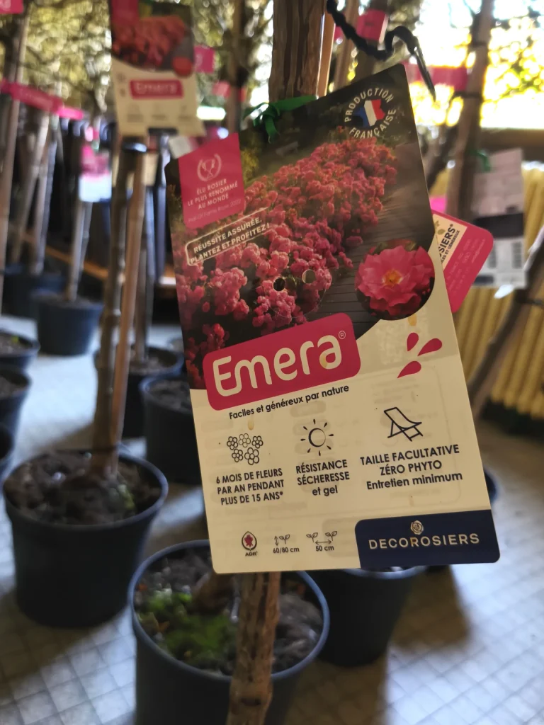 rosiers comme récompenses lors de la cérémonie des prix départementaux VVF 2025 qui s'est déroulée à Coucy dans les Ardennes