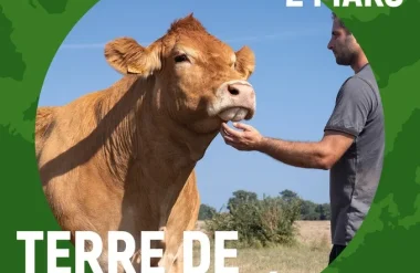 Salon International de l’Agriculture du 22 février au 2 mars 2025