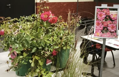 Rencontre régionale VVF du 14 octobre 2025 à Rethel dans les Ardennes - stands