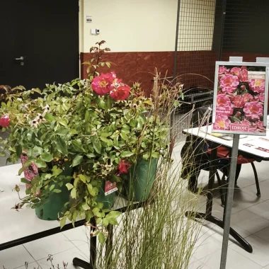 Rencontre régionale VVF du 14 octobre 2025 à Rethel dans les Ardennes - stands