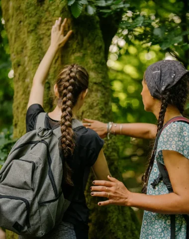 bain de forêt - sylvothérapie - Ardenne