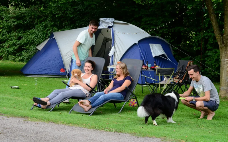 Camping Qualité